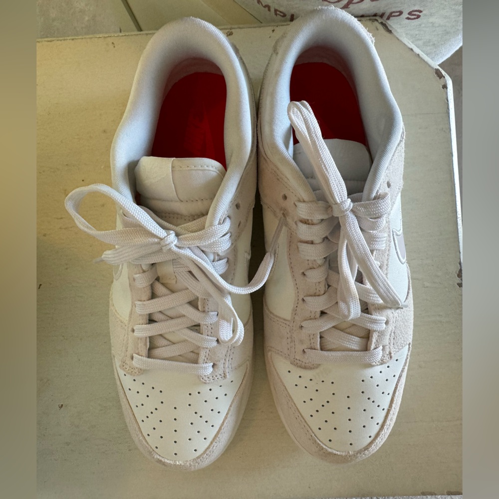 Nike dunks. Size 9. Never worn!
